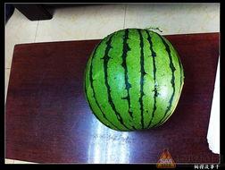 17吃瓜网在线,17吃瓜网带你领略明星幕后故事