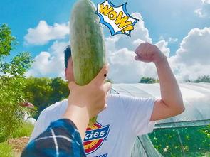 博雅吃瓜网红是谁啊