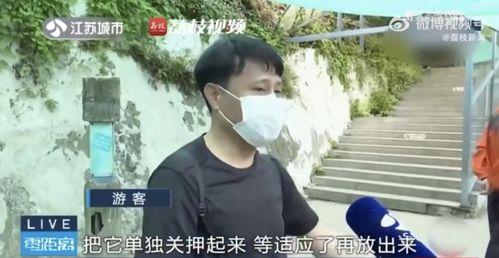 网红吃瓜兄妹是真的吗