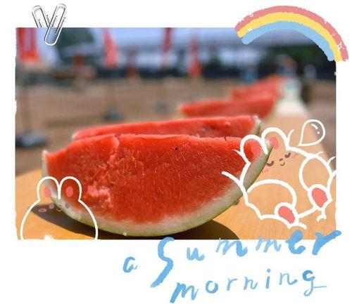 大型吃瓜现场网红趣事