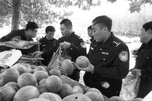 安新吃瓜网红事件最新,揭秘网络舆论的风暴与真相