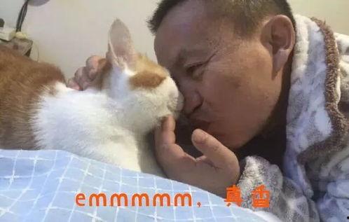 抖音网红猫吃瓜是真的吗